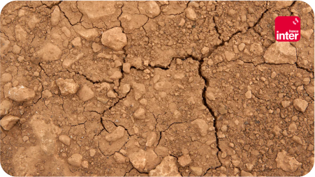 Sol craqué et aride en couverture de l'émission "sciences et écologie" sur france info avec emma haziza
